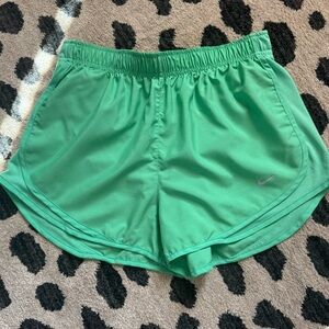 Nike Dry Temp Shorts